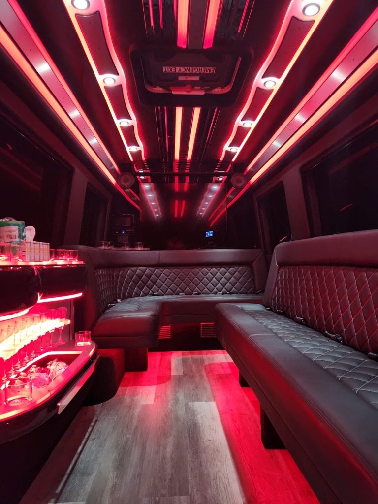 Viva Limo gallery photo