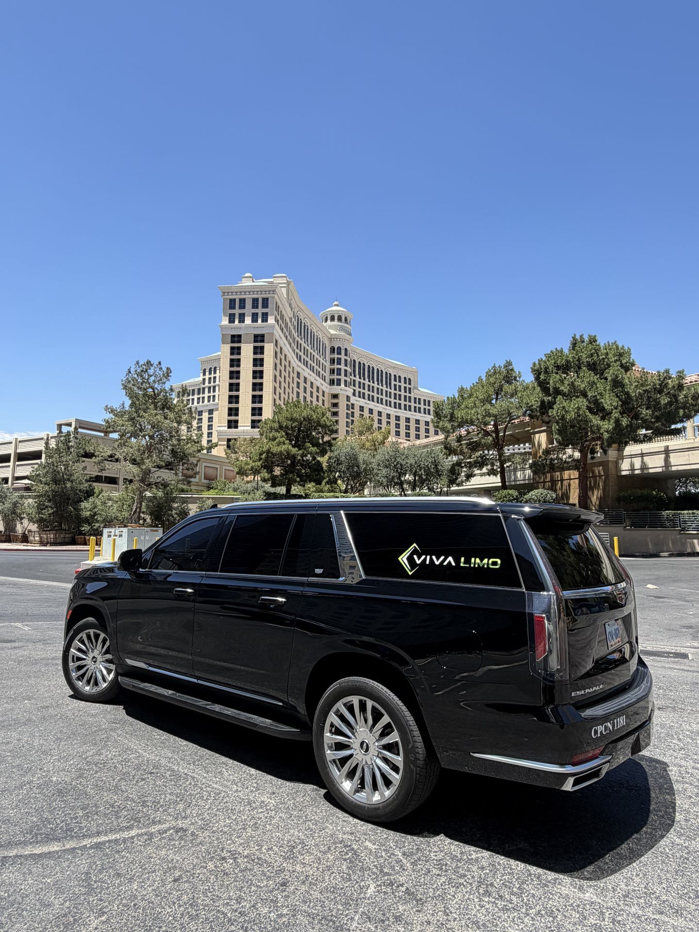 About Viva Limo