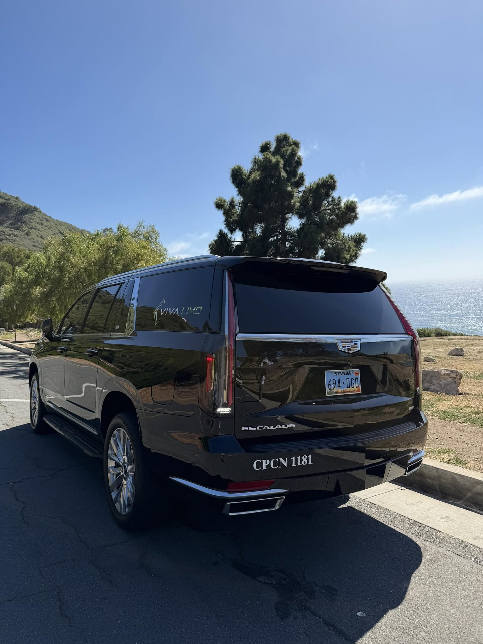 Viva Limo gallery photo